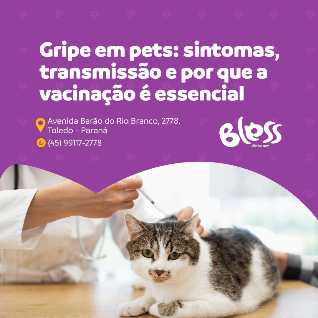 Bless Clínica Veterinária
