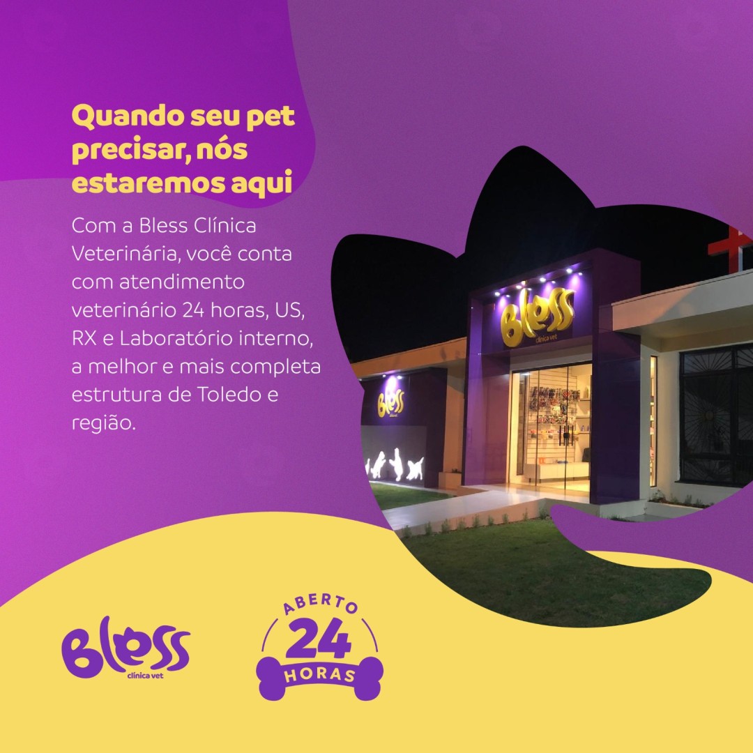 Bless oferece atendimento veterinário 24h com emergência, exames e internação sem custo adicional nas consultas