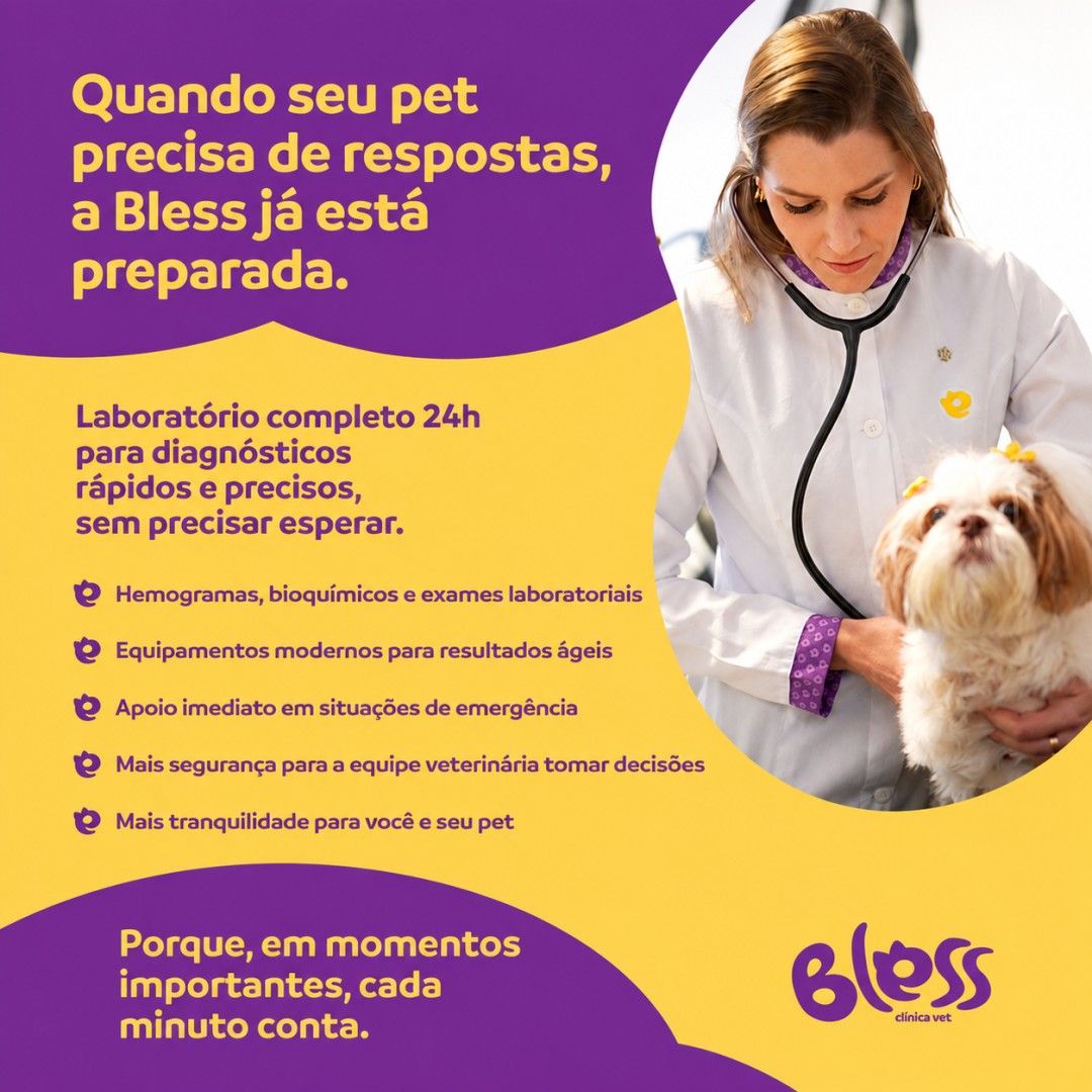 Bless Clínica Veterinária
