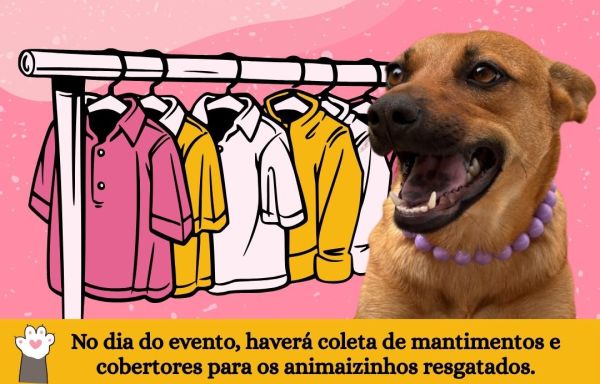 Bazar Patas Raras