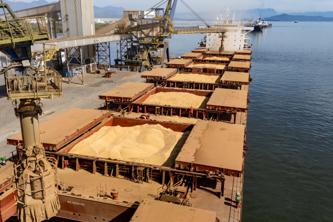 Paranaguá lidera exportação de soja e amplia volume de farelo e proteínas animais