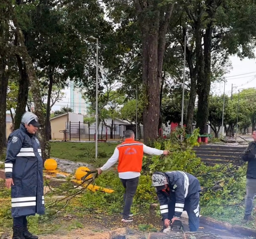 Chuvas e ventos fortes deixam 7,4 mil unidades consumidoras sem energia em Toledo