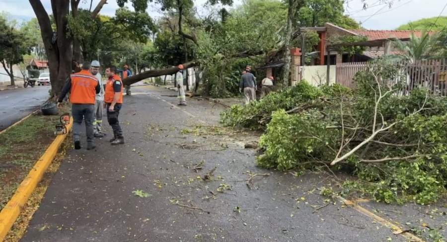 Toledo ainda tem quase 1 mil unidades sem energia após temporal e ciclone no Paraná
