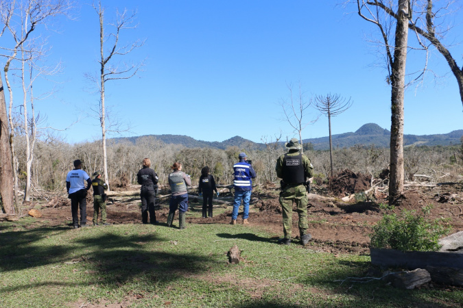 Departamento de perícia ambiental acelera resposta do Paraná a crimes contra fauna e flora