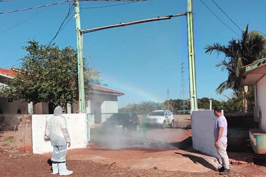 Adapar vistoria mais de 500 granjas avícolas em força-tarefa na região de Toledo