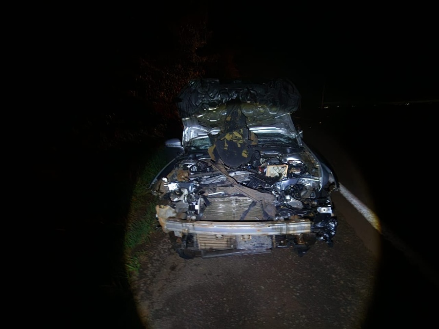 Condutor atropela bovino na PR-182 entre Toledo e Maripá; animal morre no local