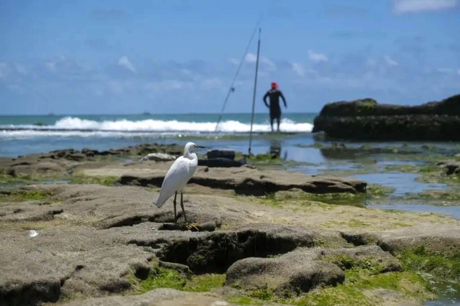Mestrado em Ciências Ambientais da Unioeste Toledo está com inscrições abertas para alunos regulares
