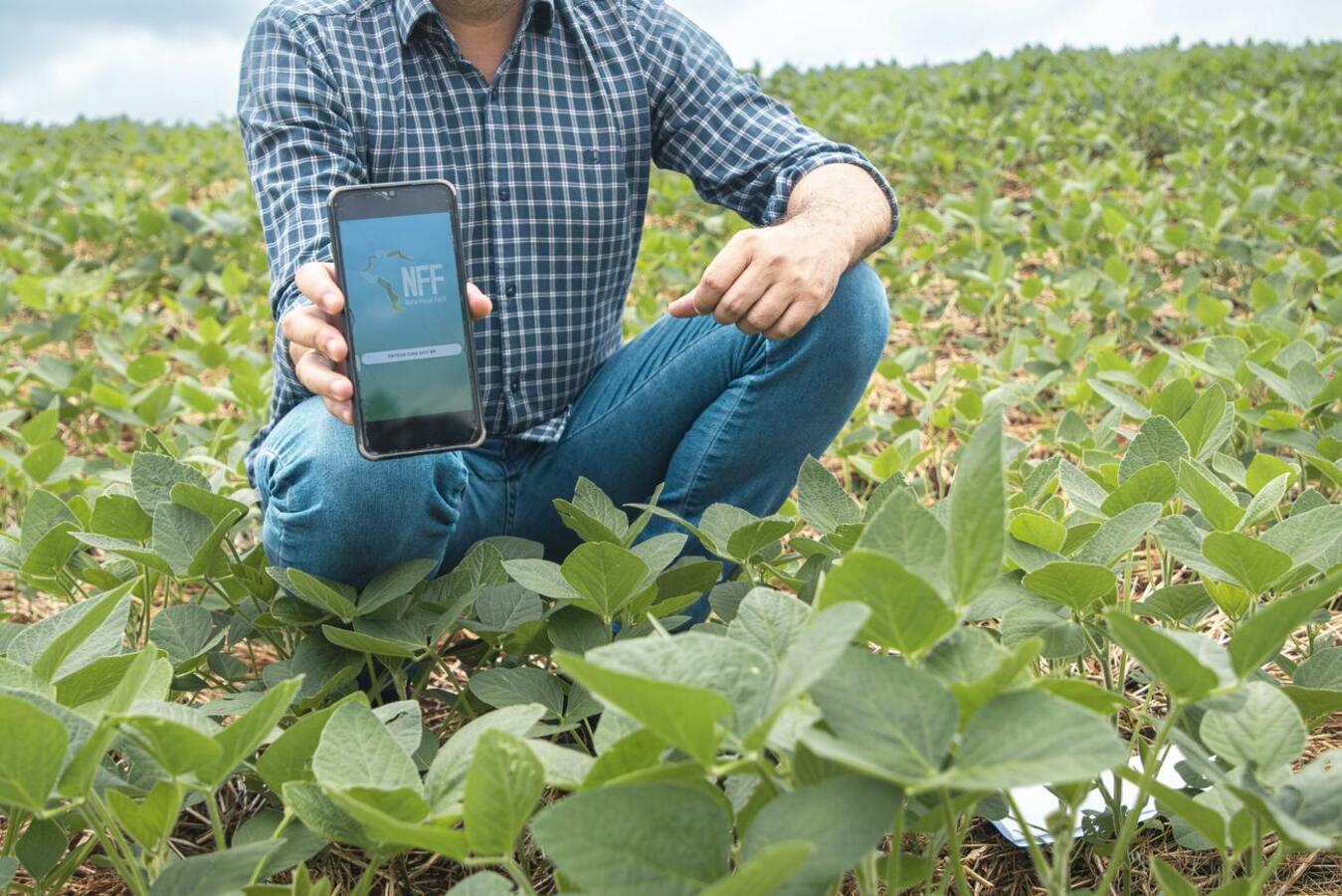 Prefeitura de Toledo altera local de entrega da Nota Fiscal do Produtor Rural