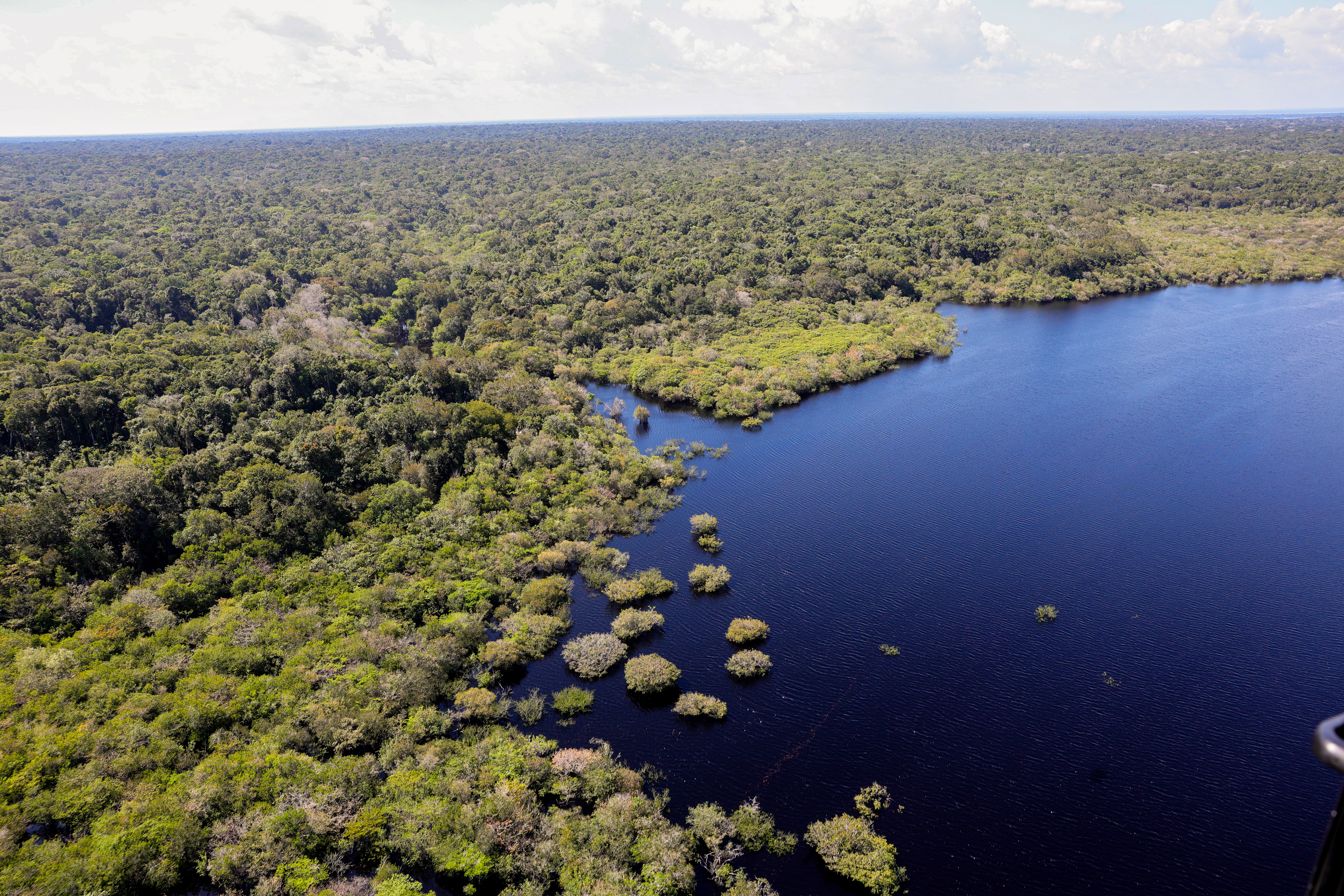 COP30: quarto leilão do Eco Invest terá foco exclusivo na Amazônia