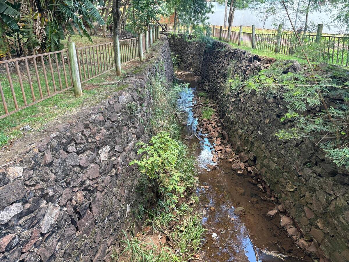 Secretaria do Meio Ambiente realizará ação em homenagem ao Dia do Rio
