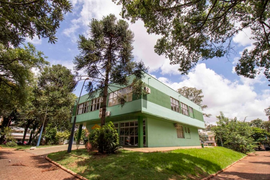 Toledo se prepara para a 14ª Virada Cultural com Pato Fu, Sambô e mais de 40 apresentações