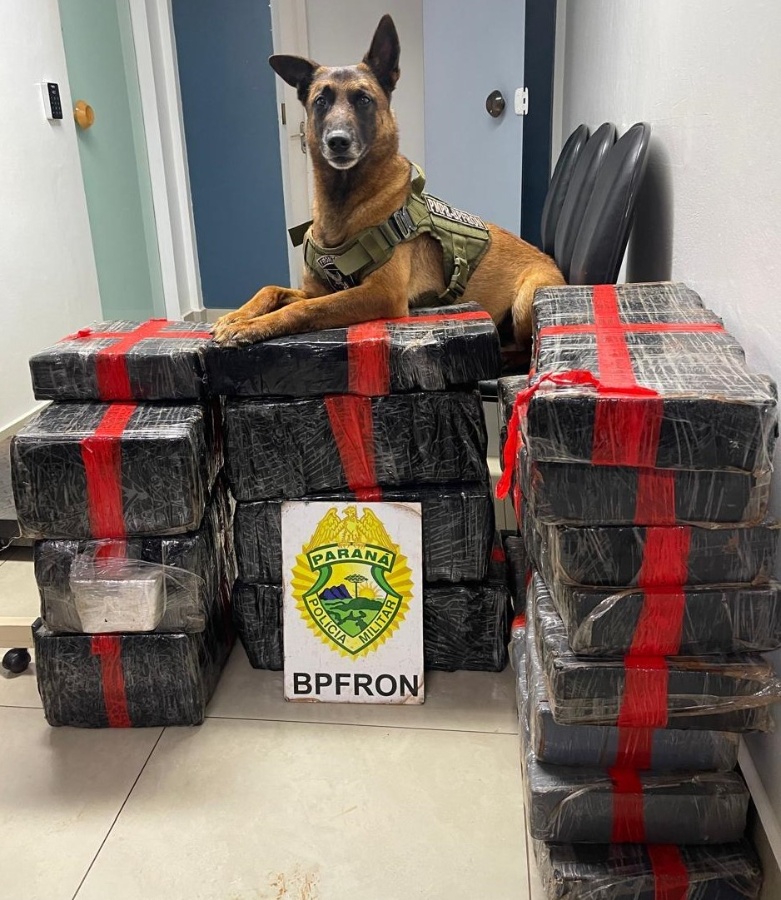 Ação conjunta apreende 193 kg de maconha após perseguição até o distrito de Vila Nova, em Toledo