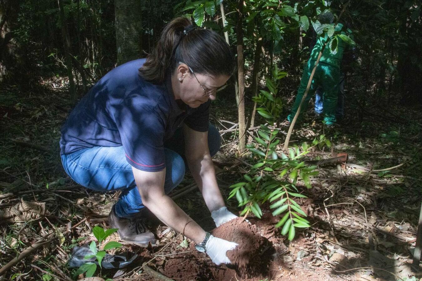 Nascente do Rio Toledo recebe mais de 300 mudas em trabalho de enriquecimento da mata ciliar