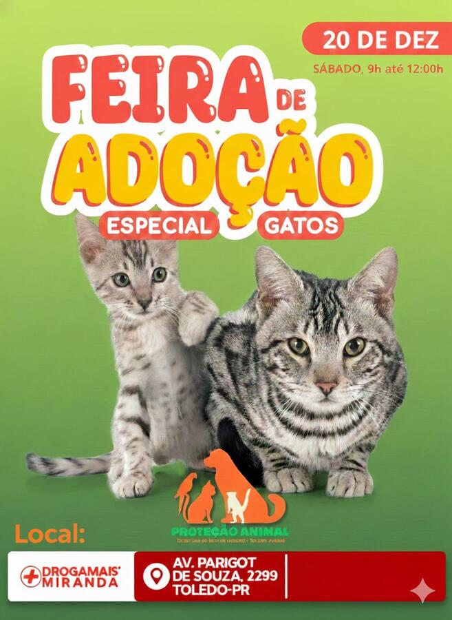 Evento de adoção disponibiliza cerca de 30 gatos no sábado (20) em Toledo