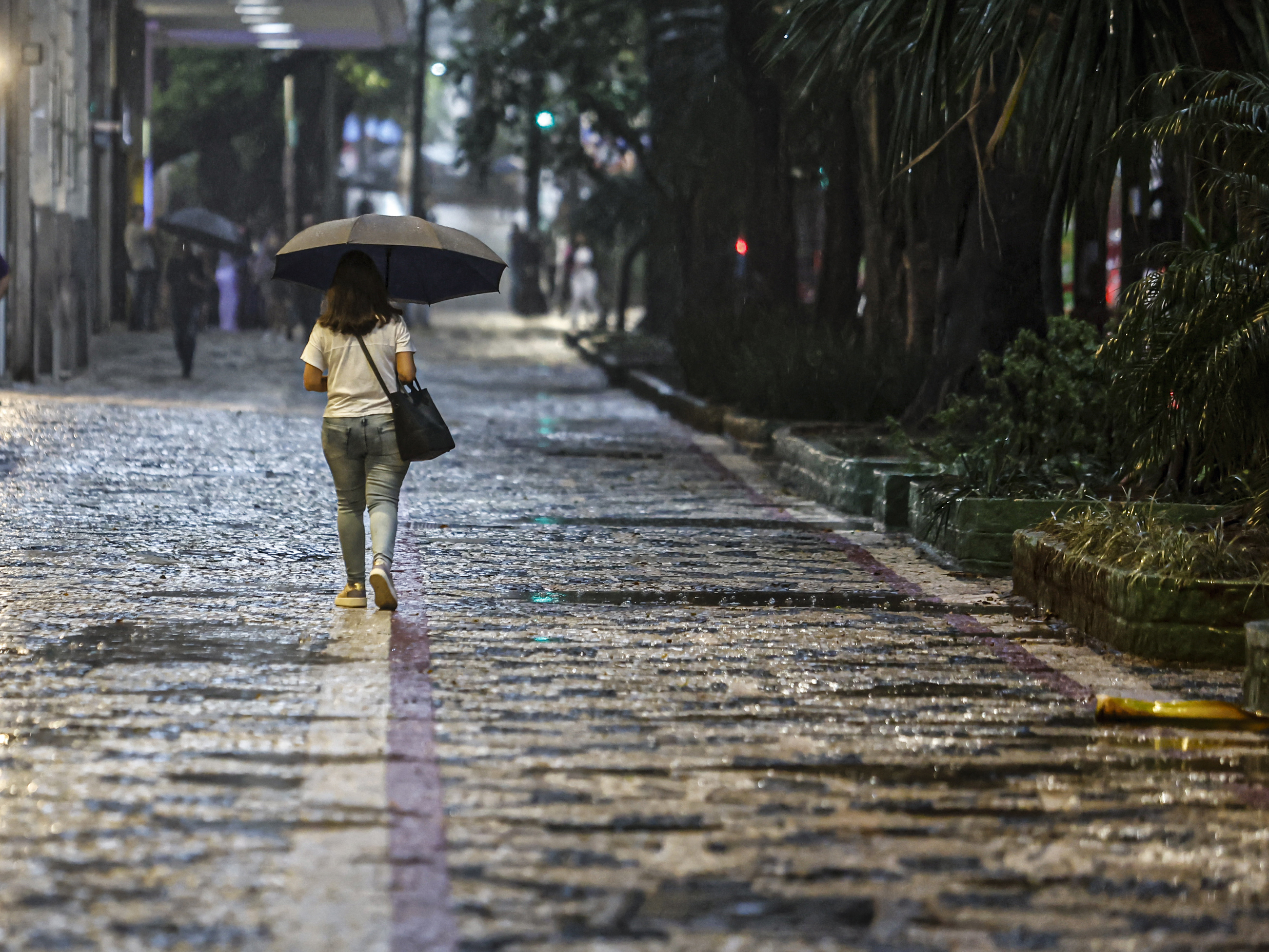 Saiba em que regiões do Brasil deve chover acima da média no verão