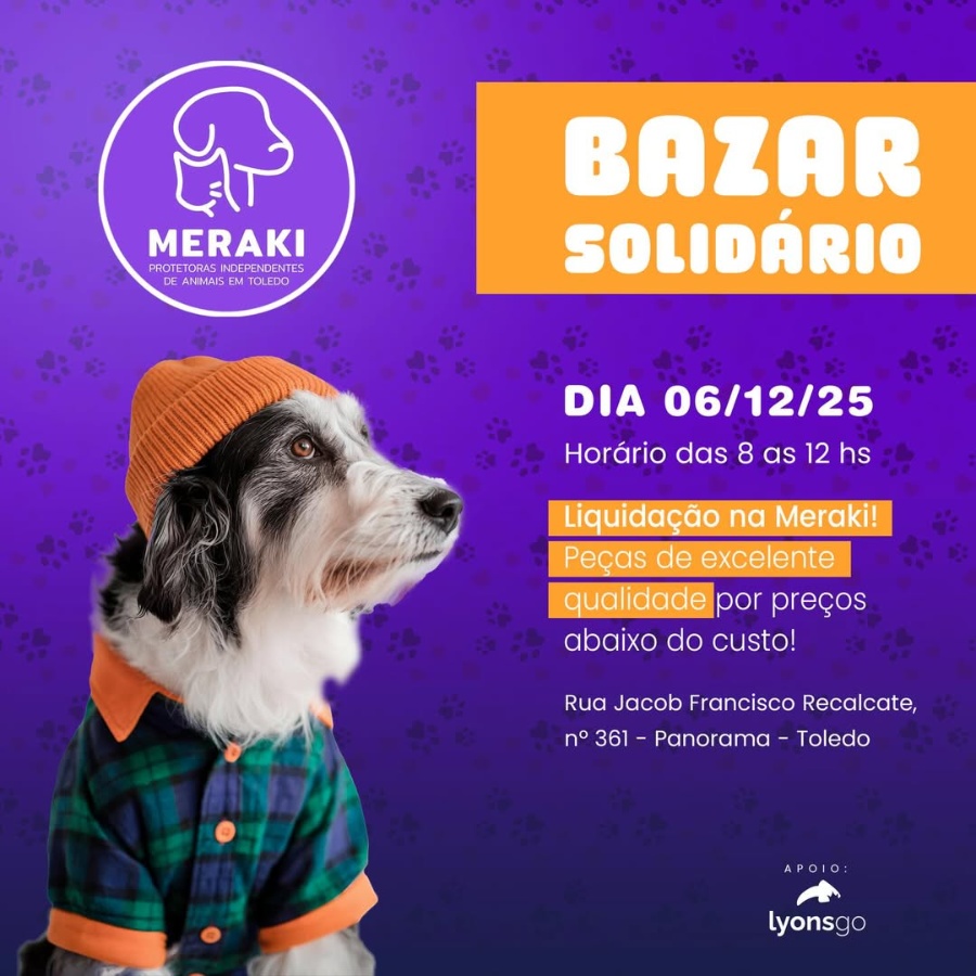 Bazar das Protetoras Meraki busca recursos para ração e tratamentos veterinários em Toledo