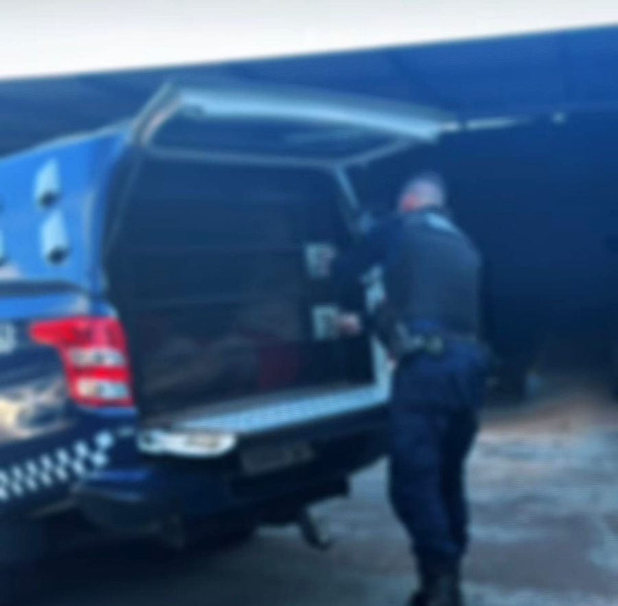 Guarda Municipal cumpre mandado de prisão contra homem condenado por furto qualificado em Toledo