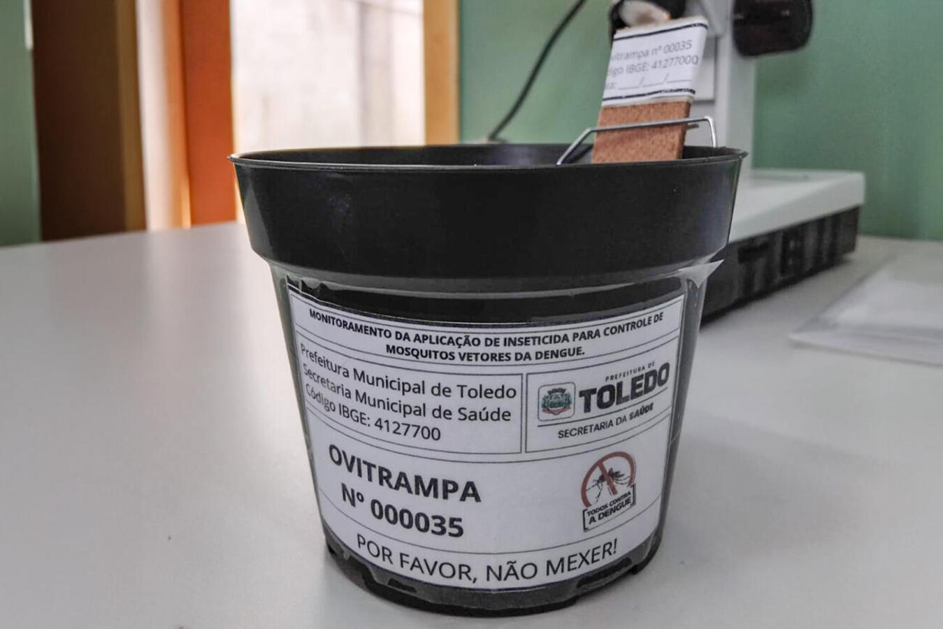 Adoção de ovitrampas traz mudanças no combate ao Aedes Aegypti em Toledo