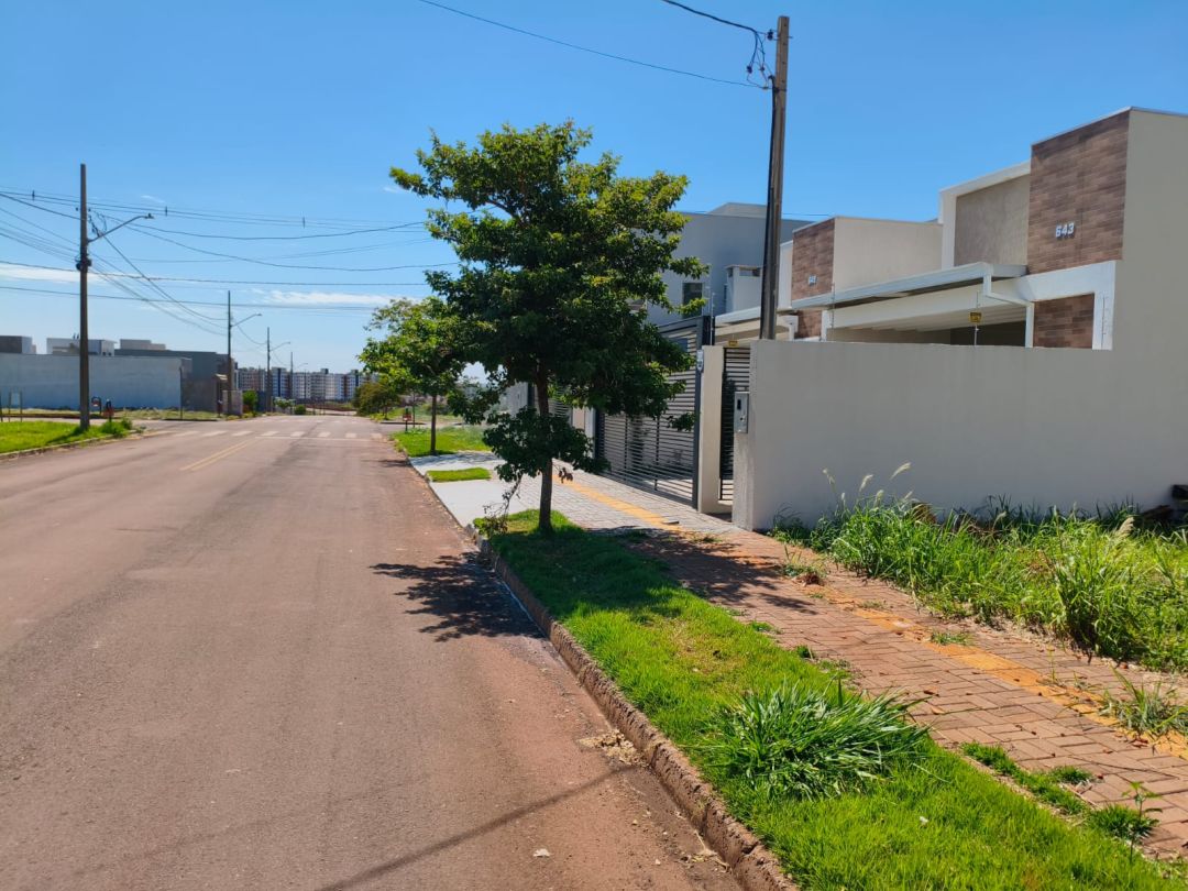 Comunidade do bairro Tocantins se mobiliza para criar memorial em homenagem ao cão comunitário Abacate