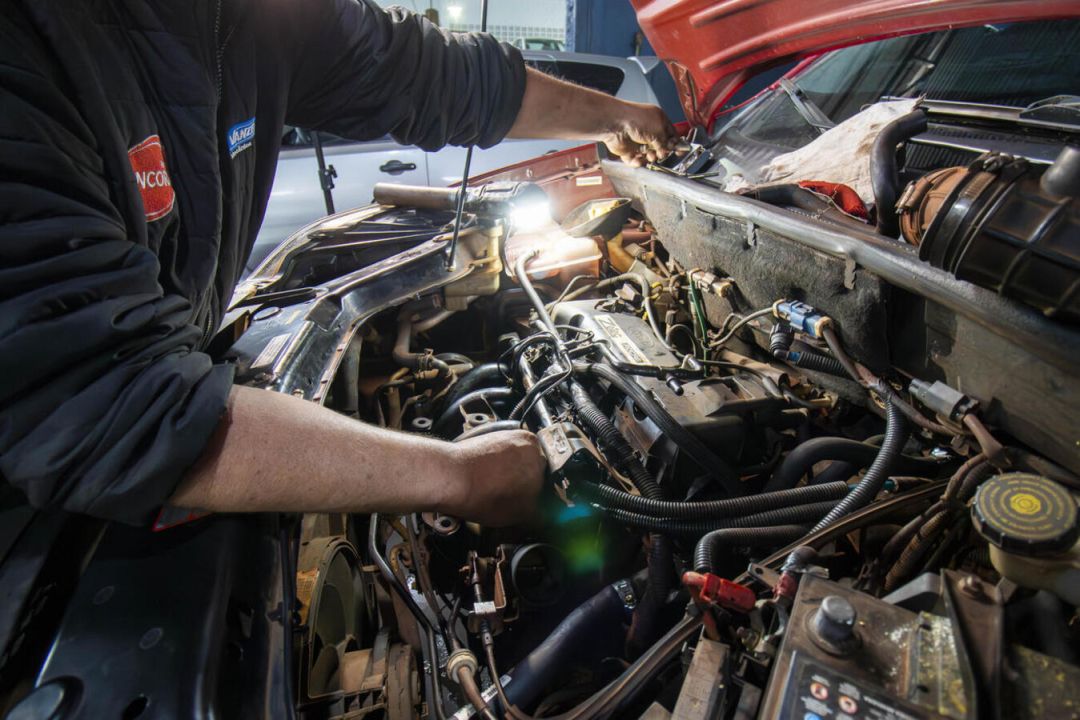 Toledo fecha 2025 com saldo positivo de 2.059 empregos formais