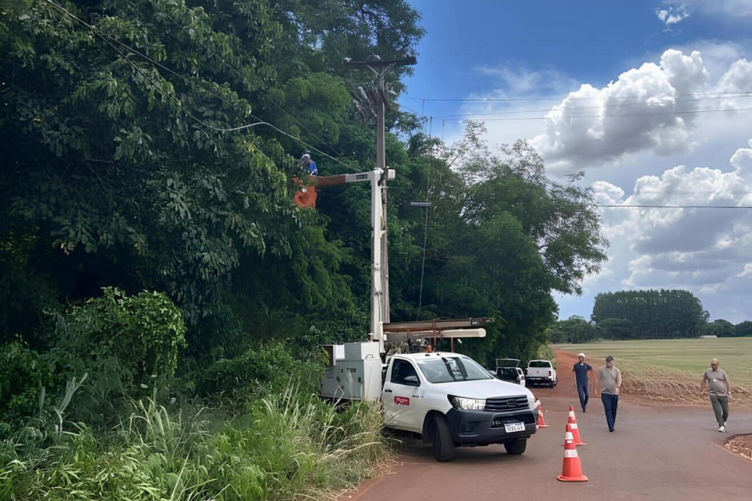 Linha Balcewicz recebe poda preventiva de árvores próxima à rede elétrica