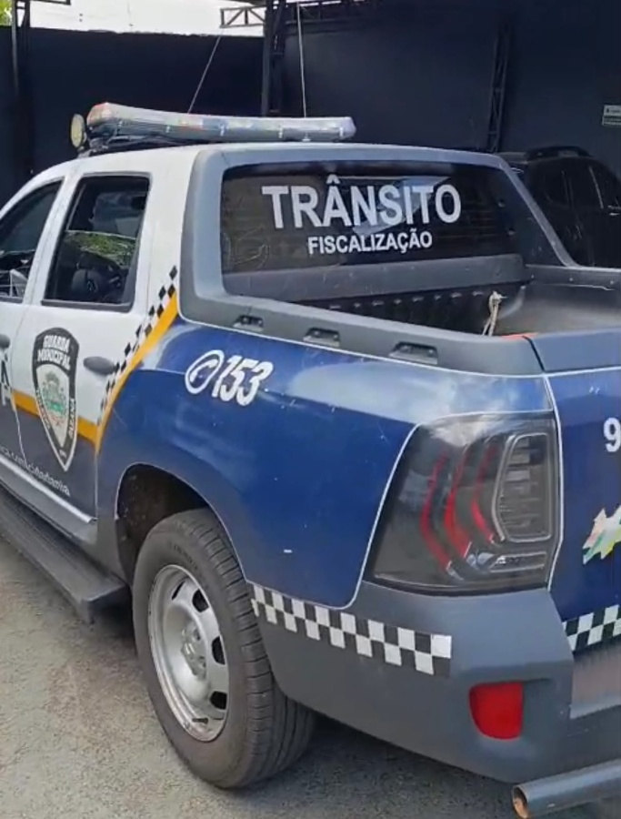 Furto de leitões em granja da região é descoberto após abordagem da GM