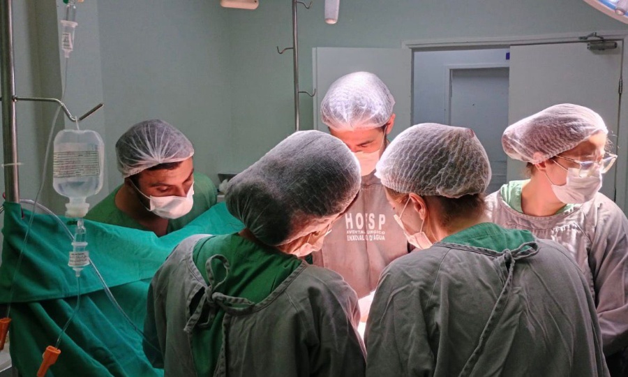 Hoesp - Hospital Bom Jesus realiza as primeiras captações de órgãos para transplante do ano