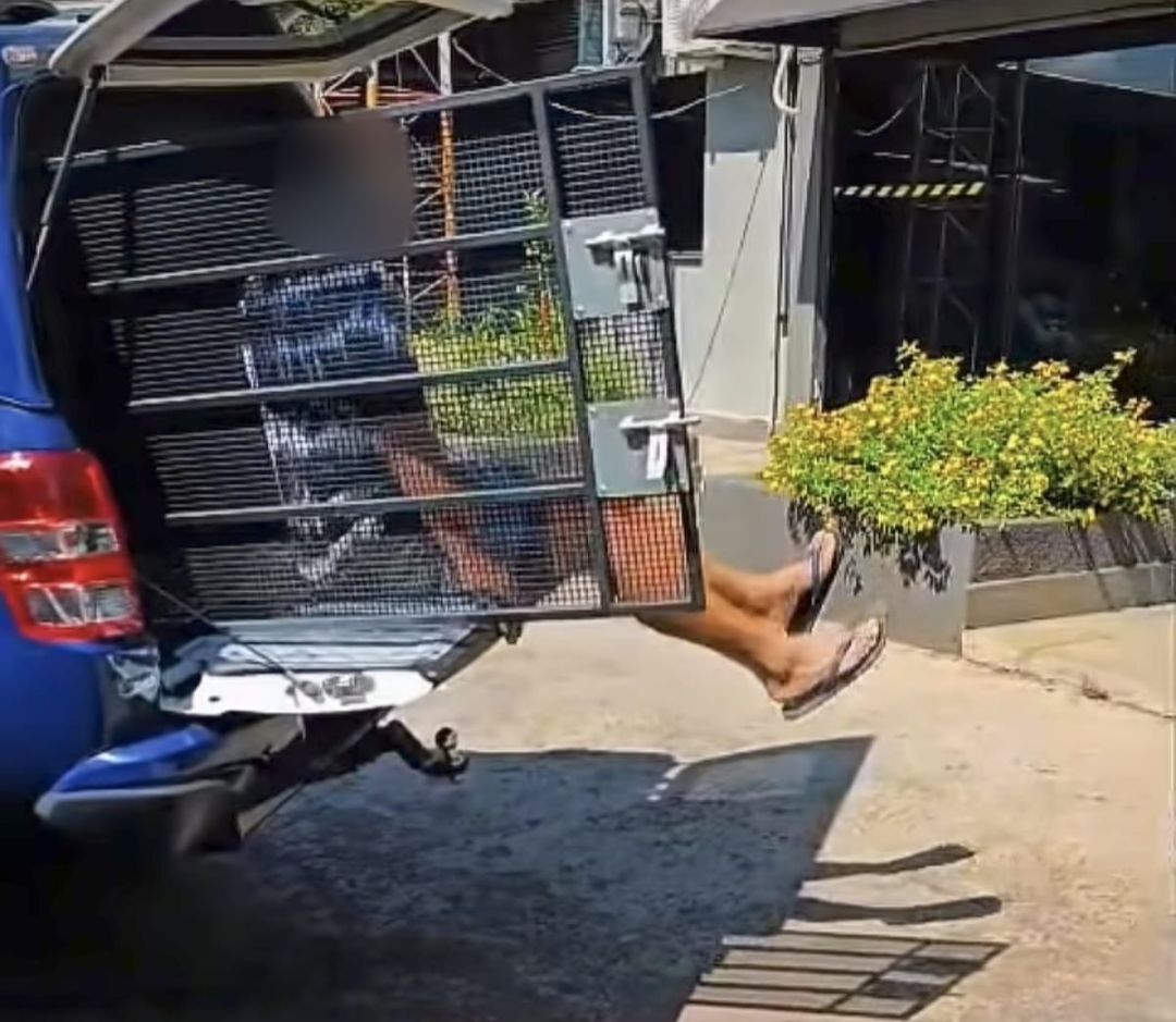 Dois são detidos pela GM após ameaças a servidores em unidade de atendimento social em Toledo