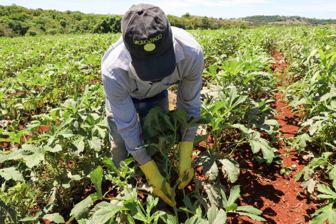 Coopera Paraná consolida sua maior edição com 220 projetos na fase preliminar de seleção