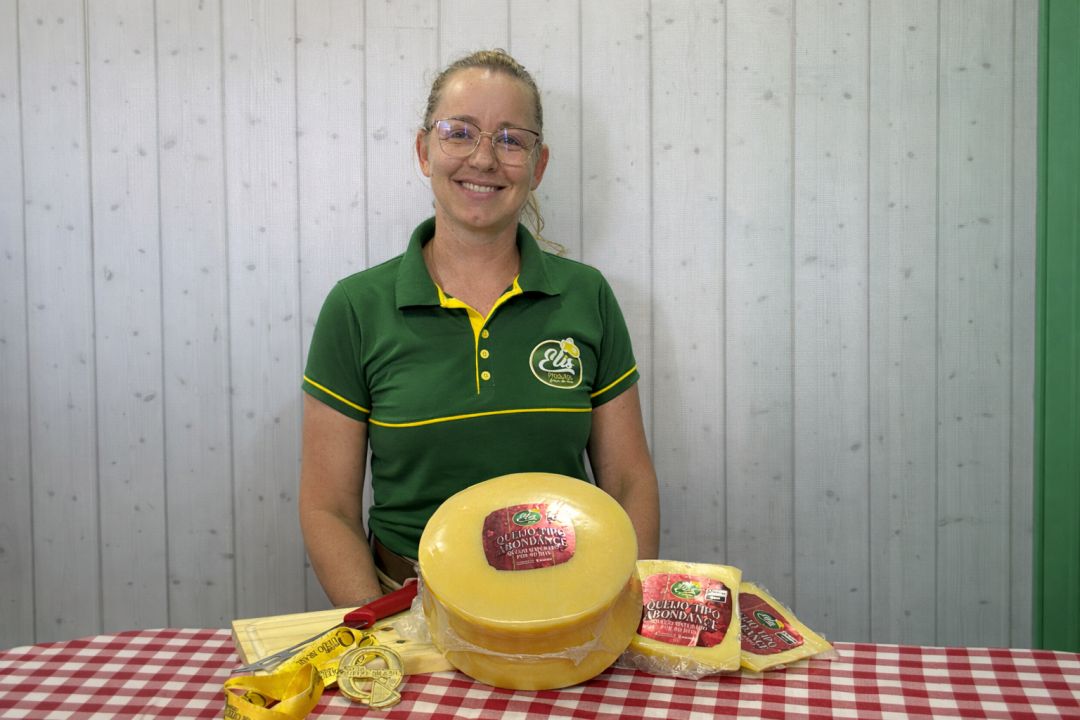 Uma inspiração suíça no Oeste do Paraná: Queijos Elis lança o queijo Tipo Abondance com sabor amendoado e de longa maturação