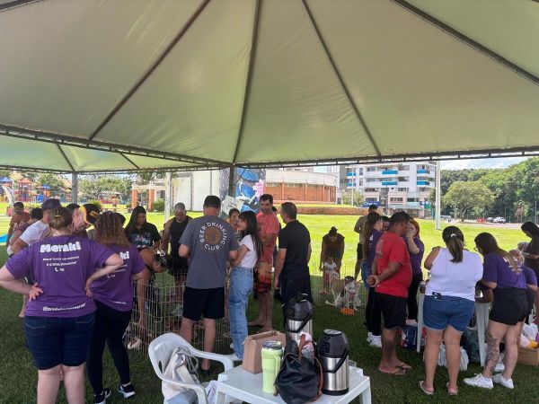 Too Audotando leva mais de 2 mil pessoas ao Parque Ecológico Diva Paim Barth