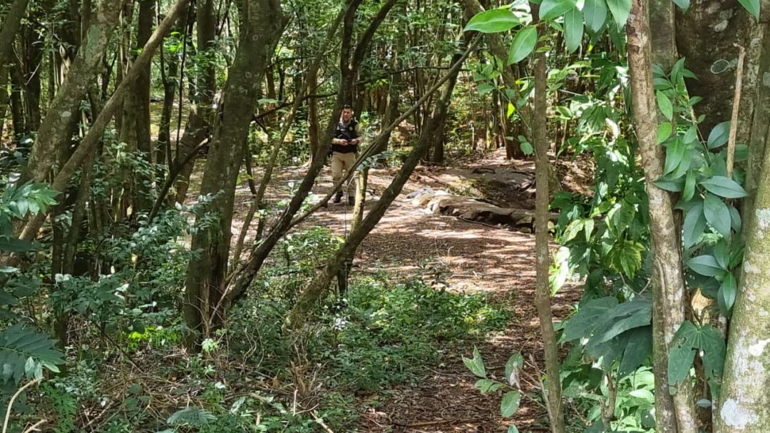 Homem é encontrado morto em área de mata no Lago Municipal de Cascavel
