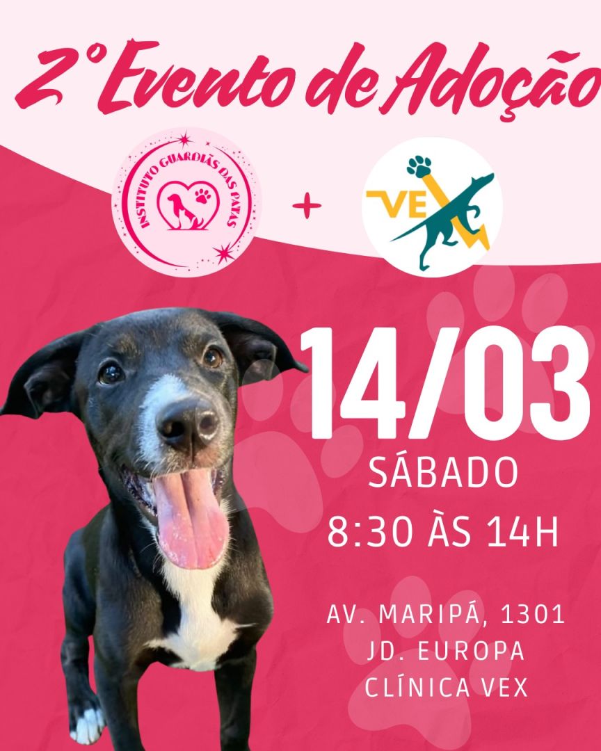 Instituto Guardiãs das Patas realiza 2ª Feira de Adoção de Animais no dia 14 de março em Toledo