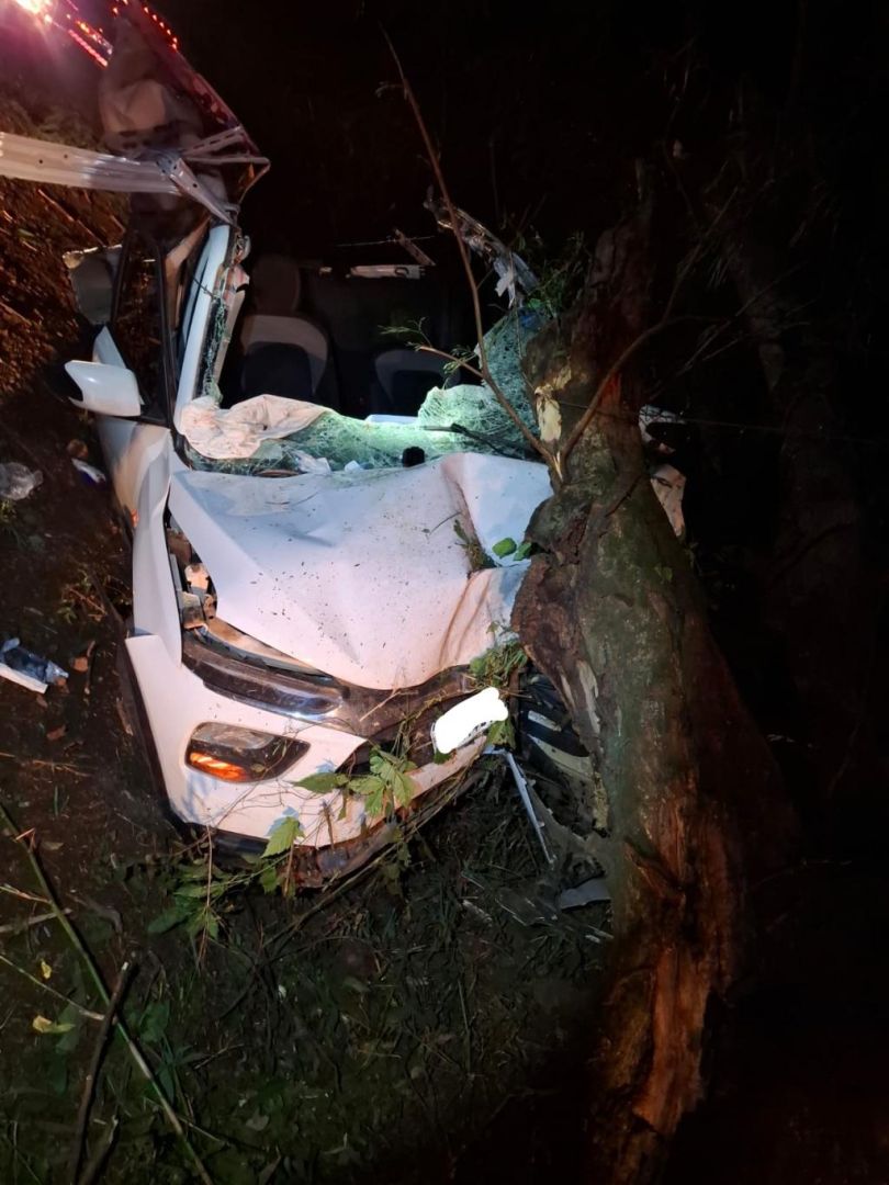 Picape é atingida por peça de caminhão, bate em árvore e motorista morre na PR-495 em Missal