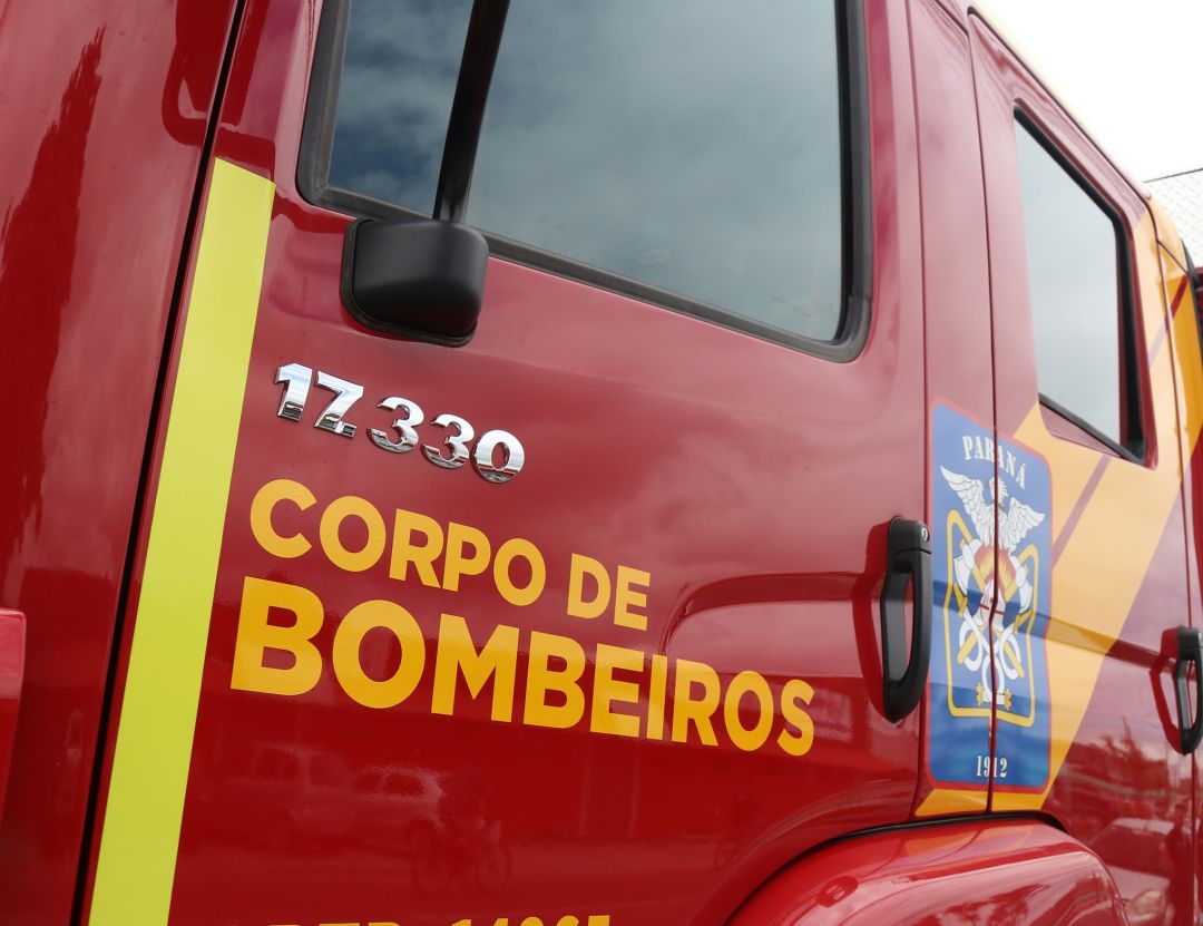 Homem de 65 anos morre após ser atacado por abelhas no interior de Toledo