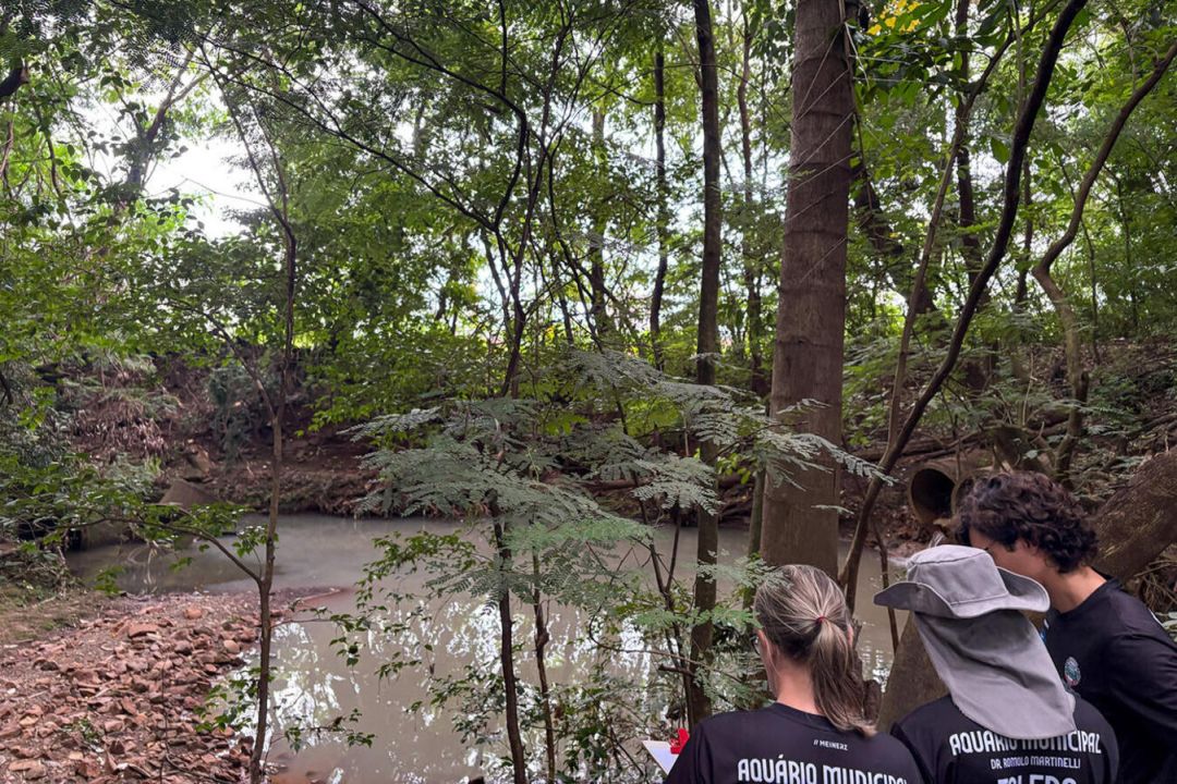 Ação na Sanga Panambi dá início à programação do Dia da Água em Toledo