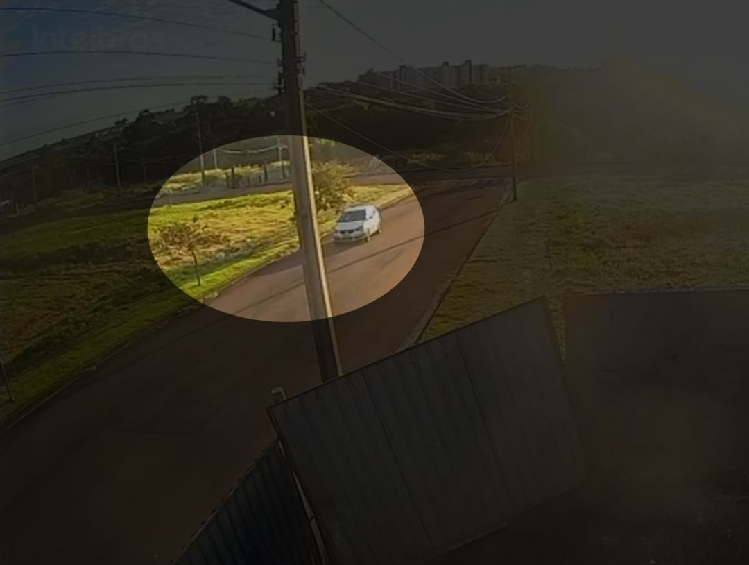 Caso cão Abacate: inquérito identifica bombeiro como responsável pela morte do animal