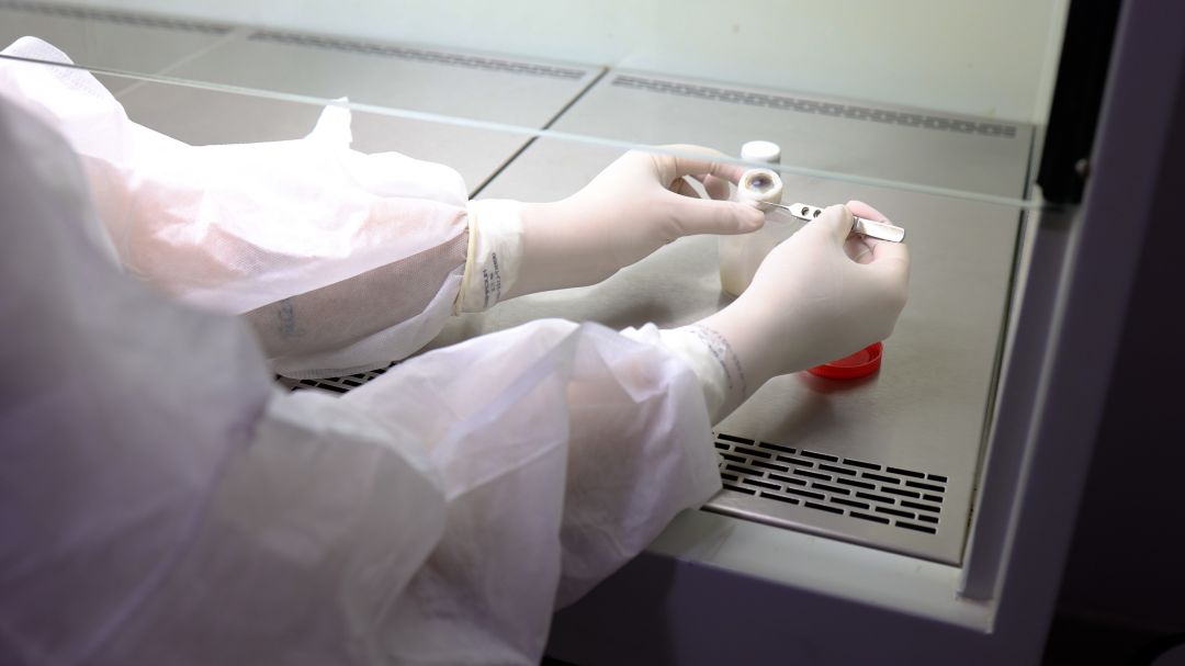 Banco de Olhos de Cascavel ultrapassa 7 mil doações em 20 anos e reforça a importância do gesto