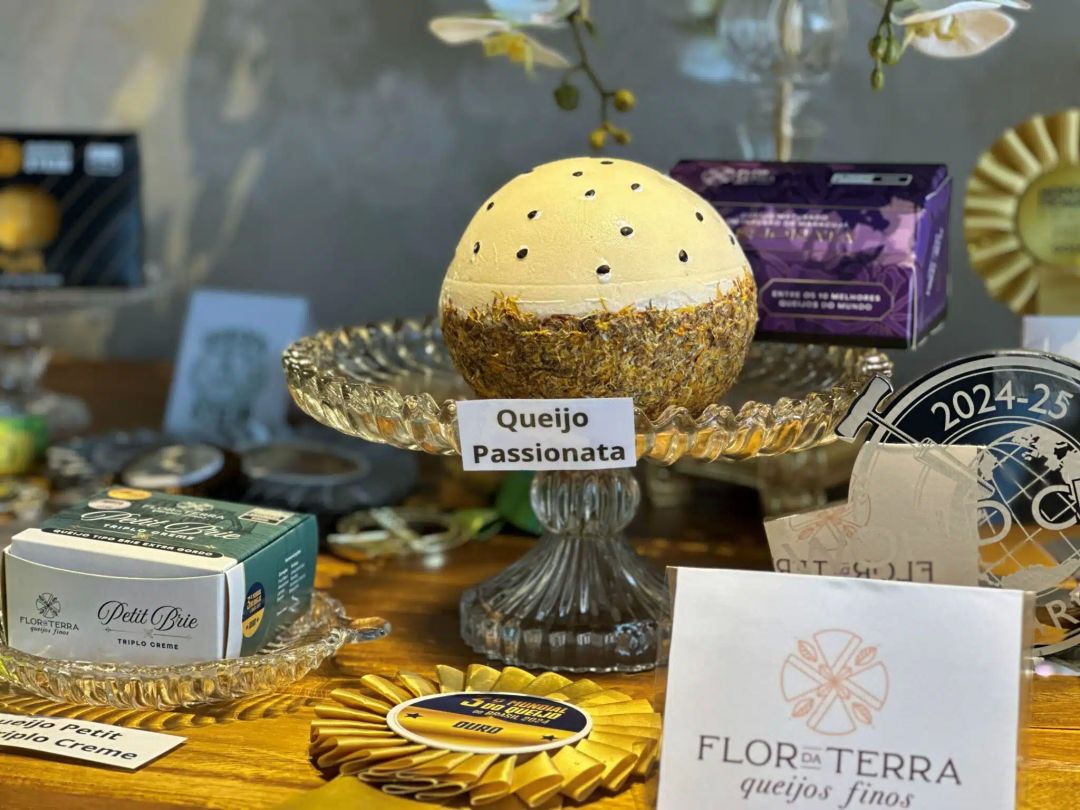 Conecta Queijo 2026 marca a ascensão do queijo autoral brasileiro no Paraná