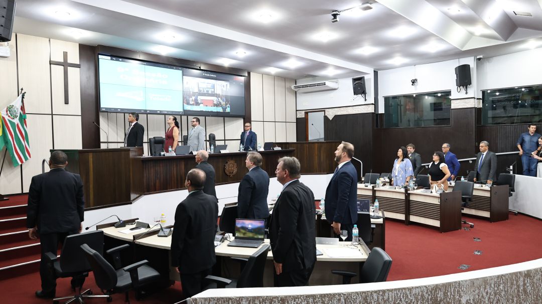 Em primeiro turno, Câmara de Toledo aprova atualização na legislação que institui o COMPIR