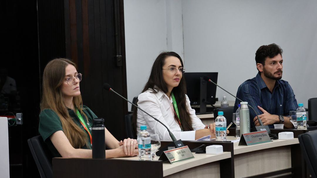 Na Câmara de Toledo, Secretaria da Cultura presta contas do último quadrimestre de 2025