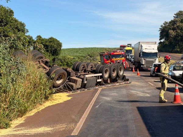 Carreta carregada com soja capota na BR-163 entre Toledo e Cascavel e motorista é atacado por abelhas