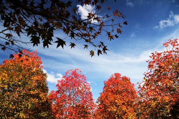 Outono no Paraná terá chuva acima da média e maior variação de temperatura ao longo do dia