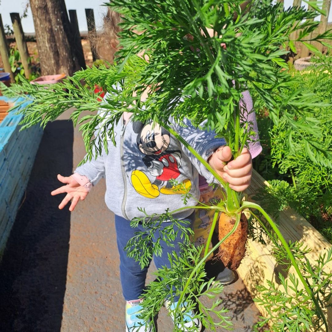 Pesquisa da Unioeste Campus de Toledo destaca educação ambiental na primeira infância