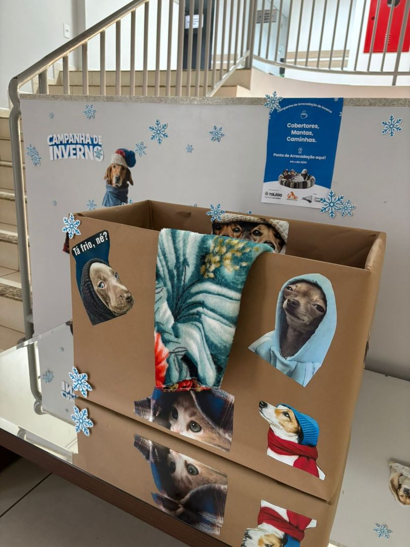 Campanha de inverno arrecada cobertores e caminhas para animais em Toledo