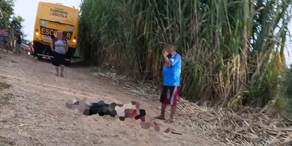 Avó e neta morrem atropeladas por ônibus escolar logo após descerem do veículo, no Paraná