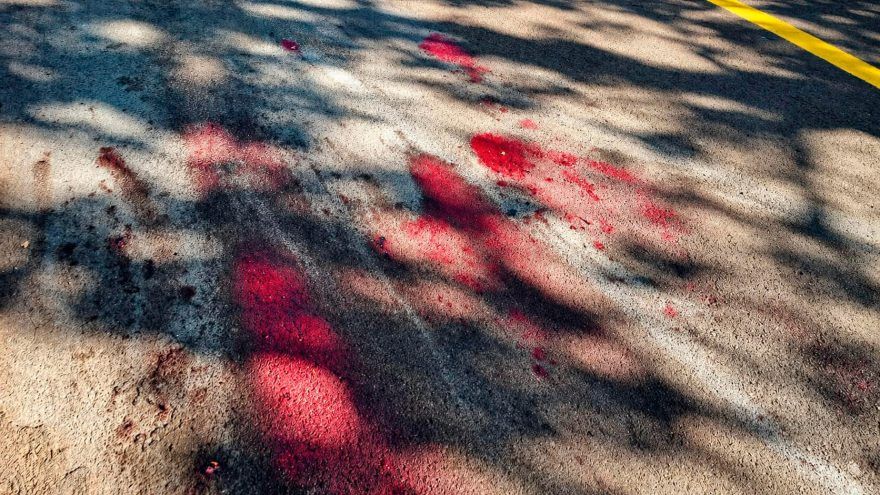 Homem mata pitbull a tiros após ser atacado em rua de Cascavel