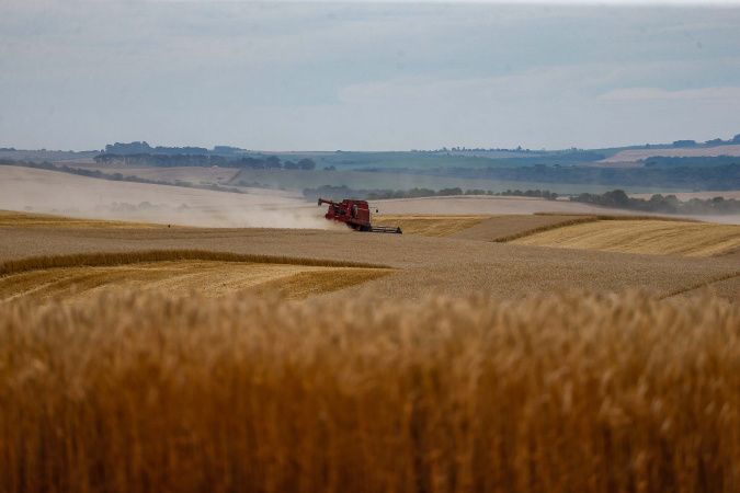 Soja e milho impulsionam produção paranaense com estimativa de 39,1 milhões de toneladas