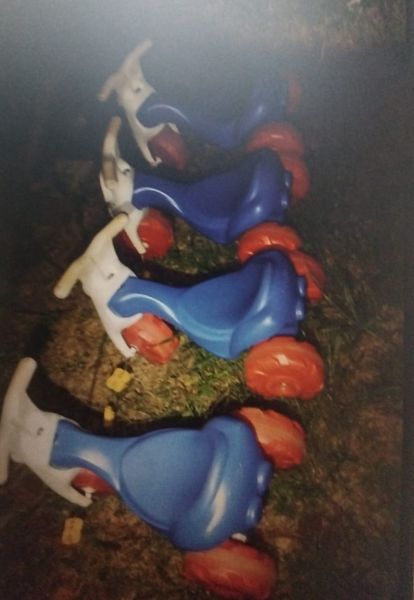 Adolescentes fantasiados de palhaços furtam brinquedos de CMEI e GM recupera itens em Toledo