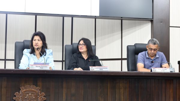 ‘Março Amarelo’: Câmara de Toledo discute campanha de conscientização sobre a endometriose